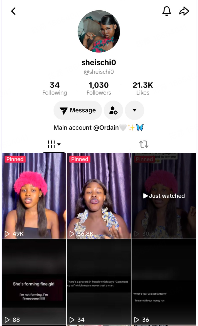@sheischi0 TikTok 主页